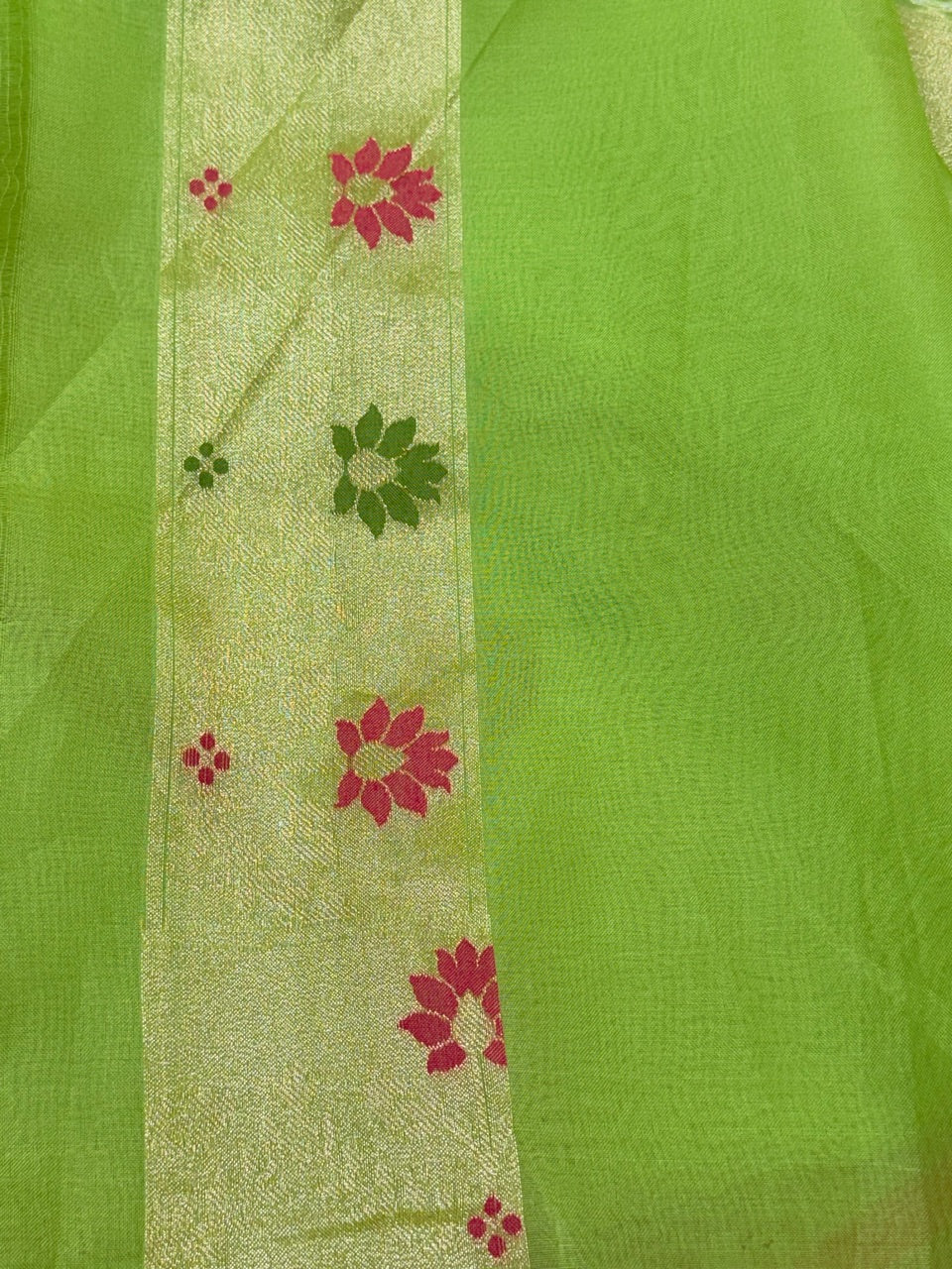Pista Green Banarasi Kora Jamdani Silk Handwoven Saree