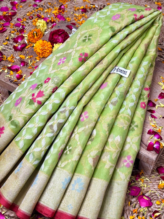 Pista Green Banarasi Kora Jamdani Silk Handwoven Saree