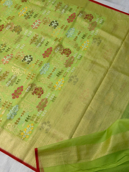 Pista Green Banarasi Kora Jamdani Silk Handwoven Saree
