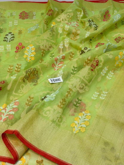 Pista Green Banarasi Kora Jamdani Silk Handwoven Saree