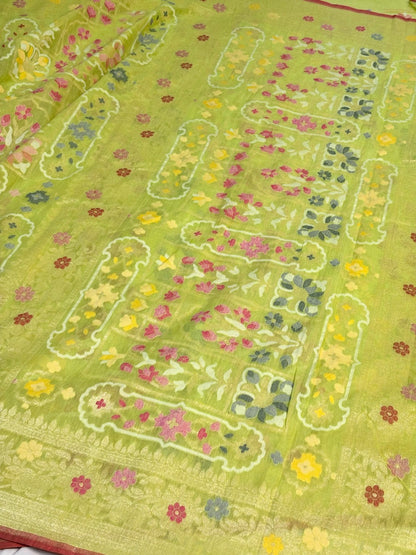 Light Olive Green Banarasi cotton Jamdani handloom Saree